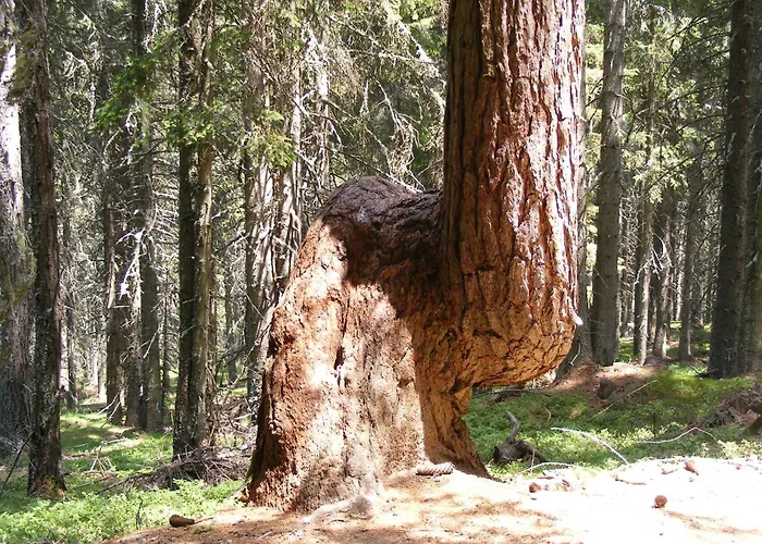 Blue Mountain Hotel 3*