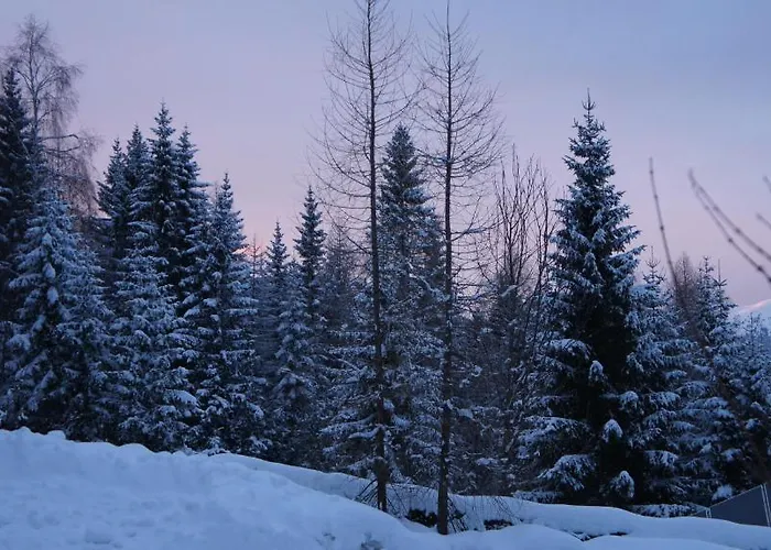 Hotel Blue Mountain 3*